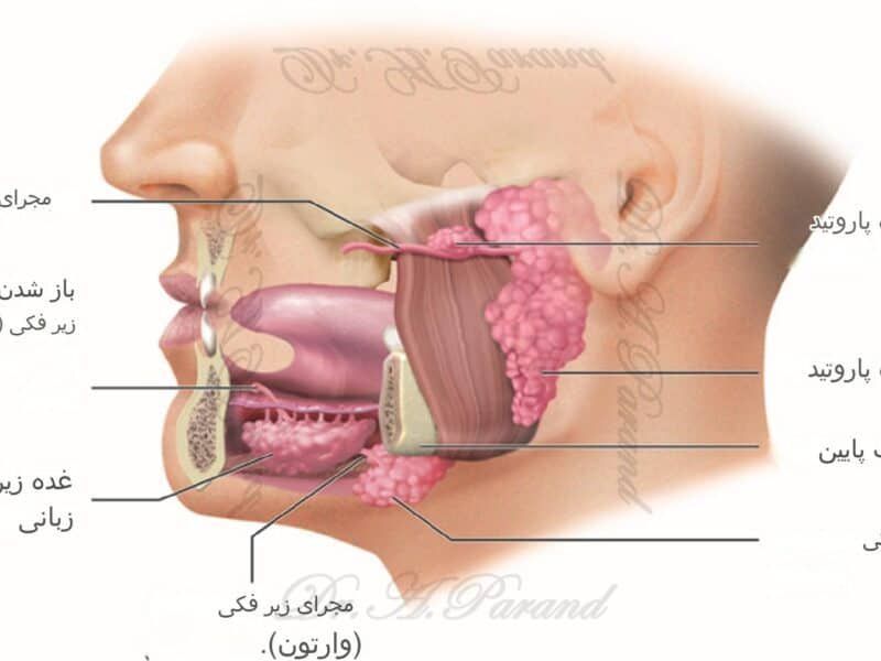 مشمولان مبتلا به تومورهای بدخیم فک و دهان از خدمت سربازی معاف می شود