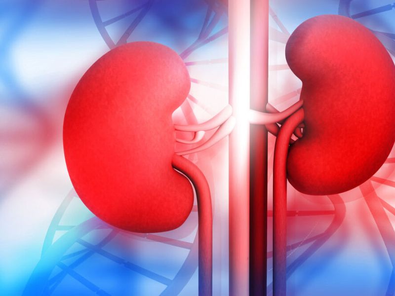 هیدرونفروز یا اتساع لگنچه درجه 3 سبب معافیت مشمولان از سربازی می شود