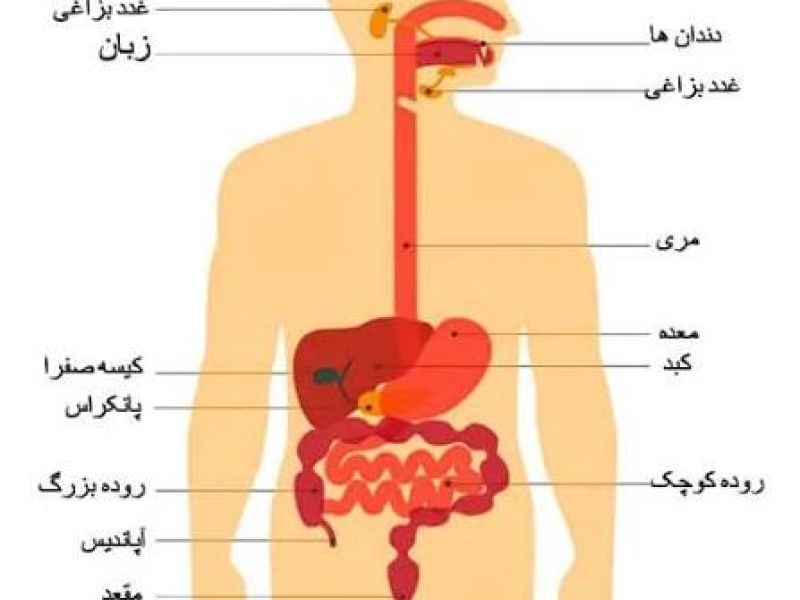 هرگونه عمل جراحی دستگاه گوارش منجر به معافیت مشمولان از سربازی می شود